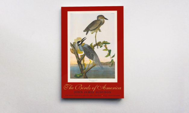 بيع كتاب “طيور أمريكا” بـ10 ملايين دولار أمريكي!